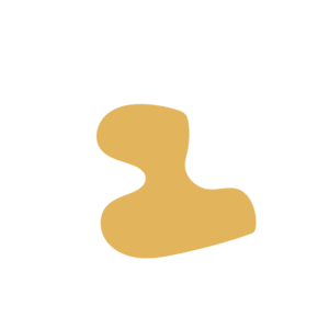 C41d752f-placeholder-1770051459