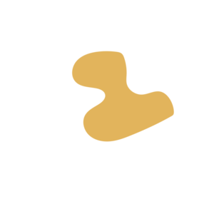 8dfc1dca-placeholder-1770015348