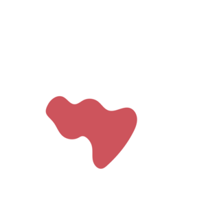 565ff8f3-placeholder-1770022138