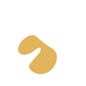 39f0770e-placeholder-1770032478