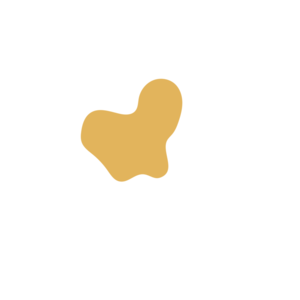 69b842dd-placeholder-1770013776