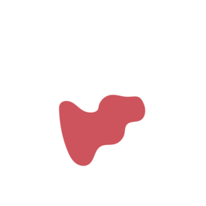 9b72e638-placeholder-1770056329