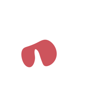 28c2ad64-placeholder-1770017384