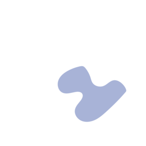 B4935902-placeholder-1770001237