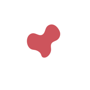 Ba1204ad-placeholder-1770021015