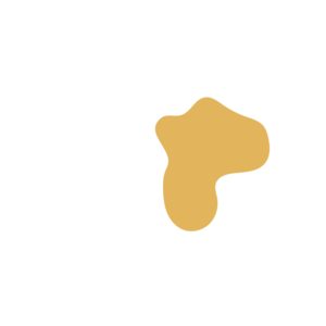 85db5a3c-placeholder-1770009986