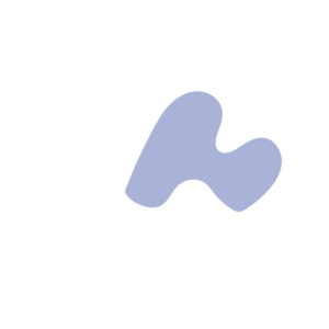 E79493b3-placeholder-1770017788