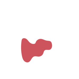 73ad4f71-placeholder-1770007978