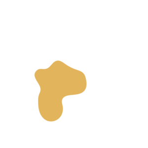 9e5b26e1-placeholder-1770056262