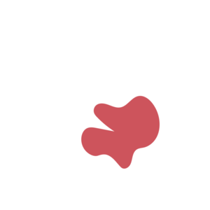 Eb40cf53-placeholder-1770033688