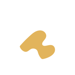 1e2b8f5d-placeholder-1770012063