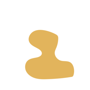 9e094532-placeholder-1770013775