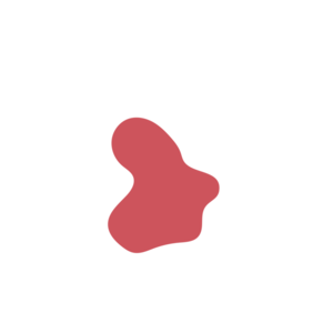 Bebe77d3-placeholder-1770056252