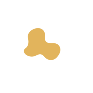 E9220286-placeholder-1770012530