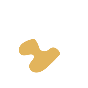 C50d9bdd-placeholder-1769191362