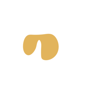 7e337da3-placeholder-1770020159