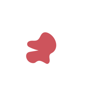 E54af93a-placeholder-1770011588