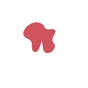 44422a2e-placeholder-1770017521