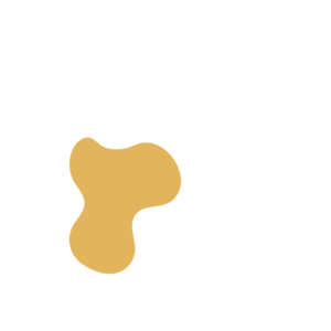 81deef39-placeholder-1769995862