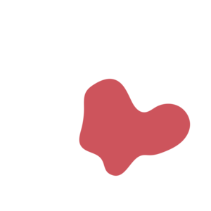 9bab7fc9-placeholder-1770005115