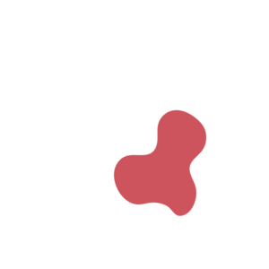 E8c56c10-placeholder-1770009381