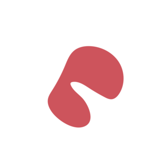 A8b9a582-placeholder-1770005379