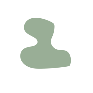 0169529f-placeholder-1770027024