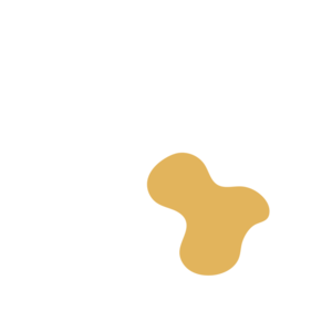 9b15b049-placeholder-1770017953