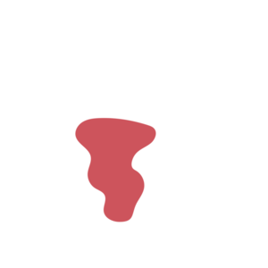 771dbe01-placeholder-1770012515