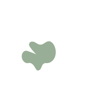 58c347bd-placeholder-1770030642