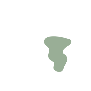 66a437fa-placeholder-1768983021