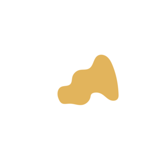 C03f8ab8-placeholder-1770006254