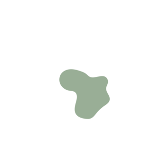 2918093b-placeholder-1769995070