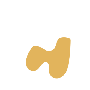 2d271756-placeholder-1770025885