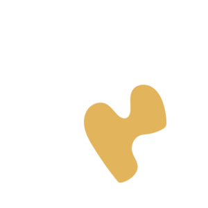 Aac9c5f8-placeholder-1769284524