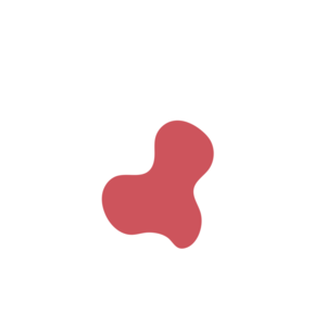 51e4d82a-placeholder-1770025879