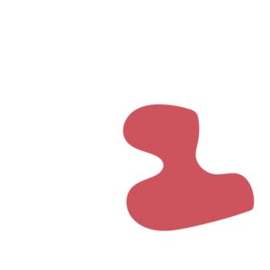 Cbc3a329-placeholder-1770019942