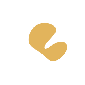 7d0a48e7-placeholder-1770049740