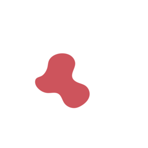 1ce9787f-placeholder-1770056382