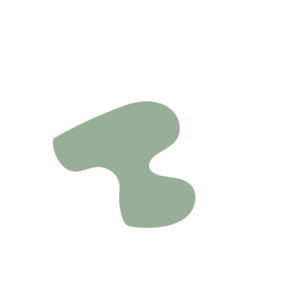 7865fde2-placeholder-1769995862