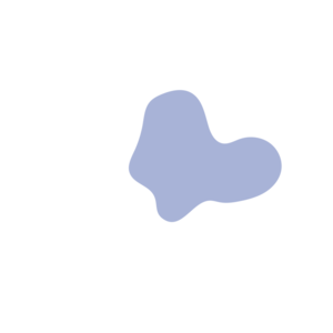 923b6970-placeholder-1770013523