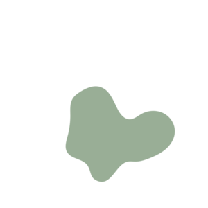 390a4adf-placeholder-1770021180