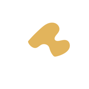 Abeabf0a-placeholder-1770026889