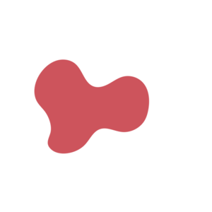 48c3b19a-placeholder-1770014163