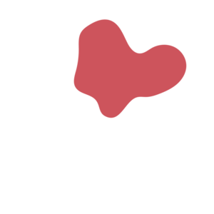 A99f017a-placeholder-1770021957