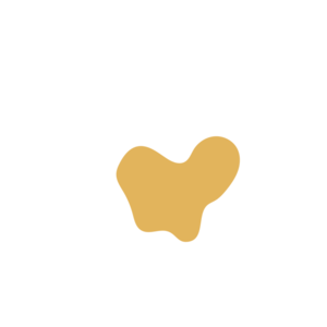 982c8f7b-placeholder-1770005644