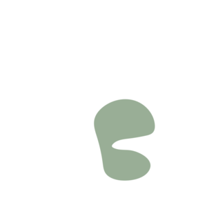 Dd3ccbe1-placeholder-1769027371