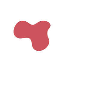 Aad21e2e-placeholder-1770018817