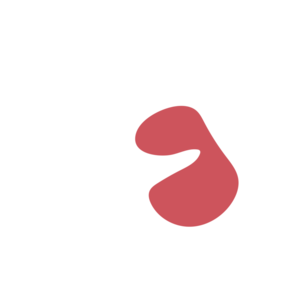 A8133046-placeholder-1770018410