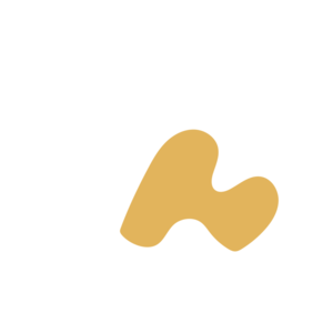 4d1f70b4-placeholder-1770018415